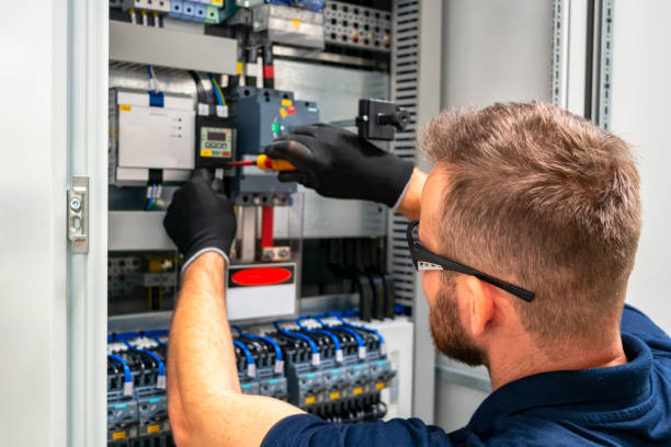Best Electrician for Home Renovation  in Necedah, WI