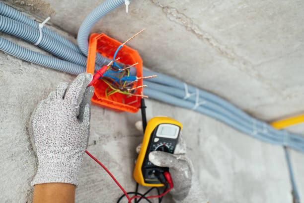 Best Licensed Electrician  in Necedah, WI